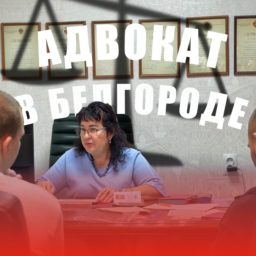 Адвокат Елена Городова на приёме у себя в кабинете: адвокат в Белгороде